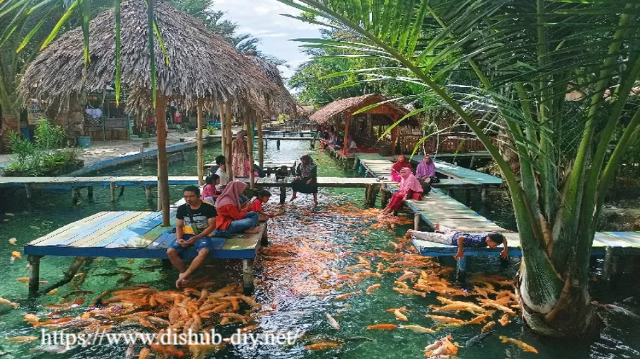 Wisata Pelang di Tuban: Surga Tersembunyi di Jawa Timur