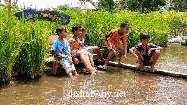 Destinasi Wisata Brayut Budaya dan Pertanian di Sleman